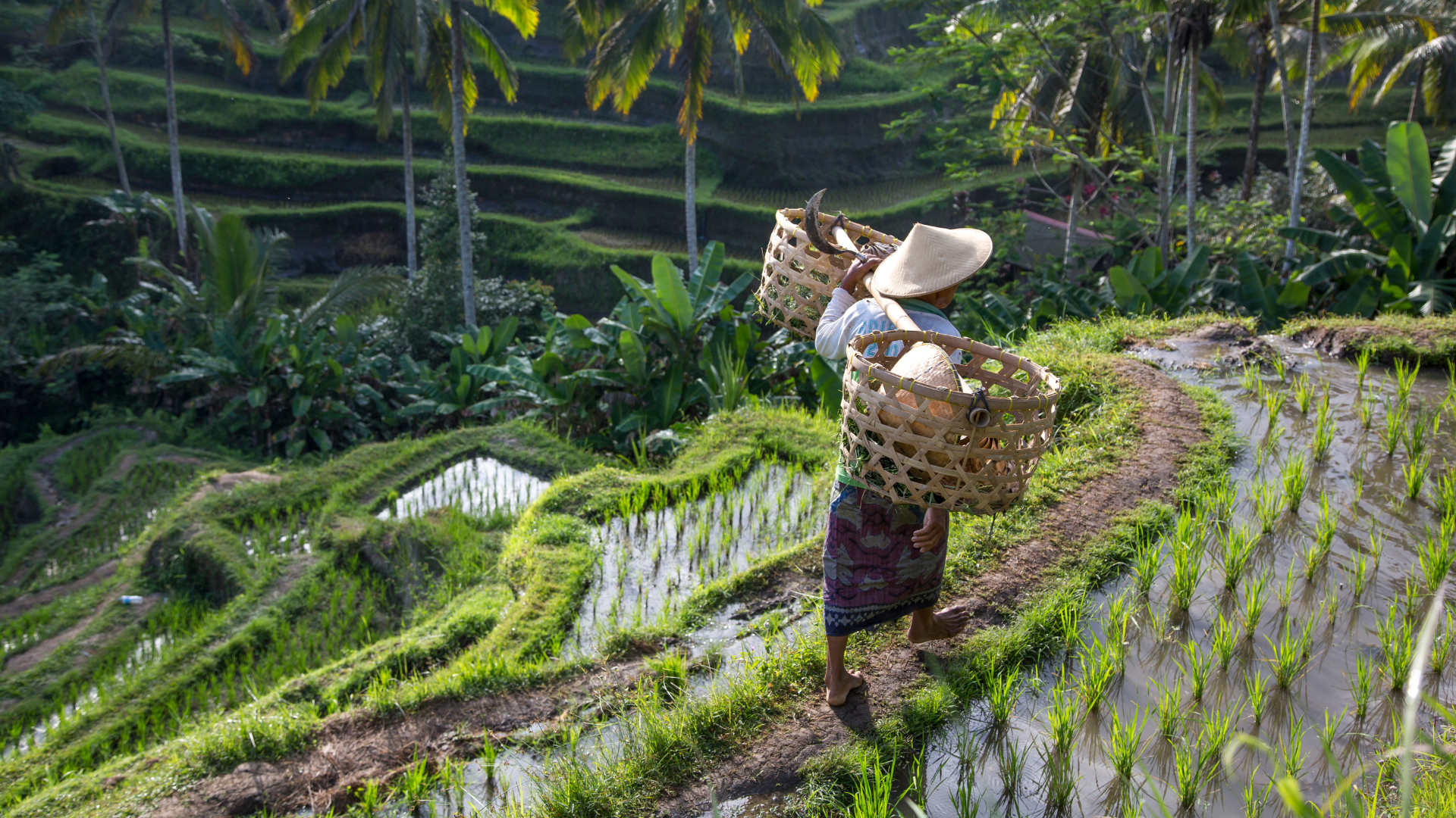 Balinese Names and Their Meanings: Why We Named Our Swimwear After Them