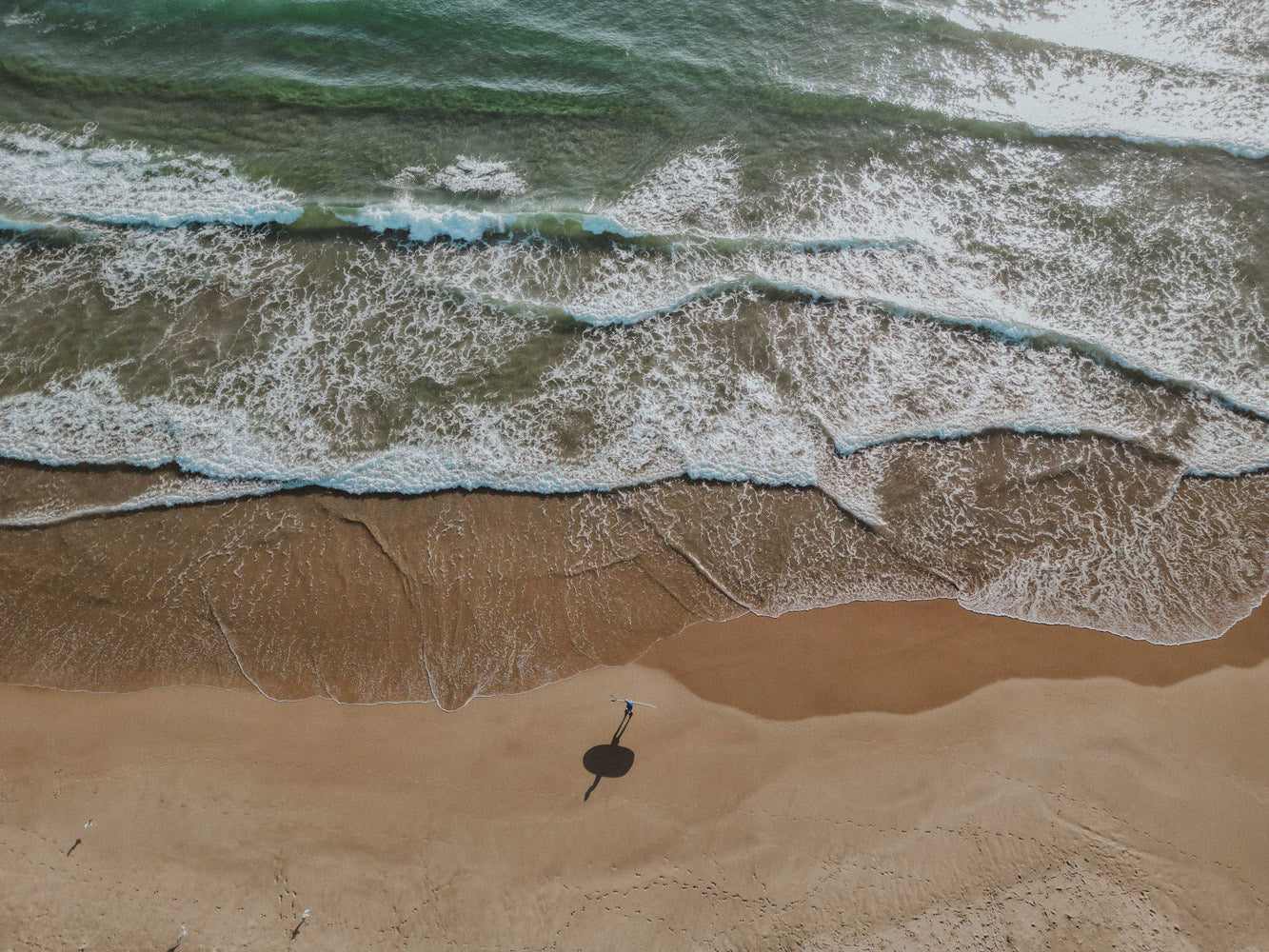 Drone view from above of a beach in Australia with a surfer walking along the beach with surfboard in hand